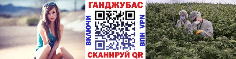 МАРИХУАНА Bruce Banner Сельцо